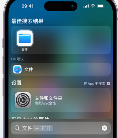 呈贡apple维修中心分享iPhone文件应用中存储和找到下载文件 