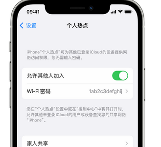 呈贡apple服务站点分享iPhone上个人热点丢失了怎么办 