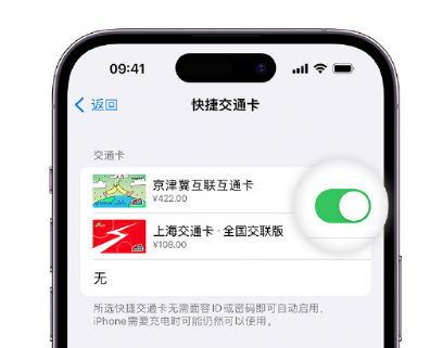 呈贡apple维修点分享iPhone上更换Apple Pay快捷交通卡手绘卡面 