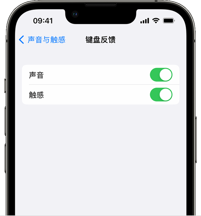 呈贡苹果14维修店分享如何在 iPhone 14 机型中使用触感键盘 