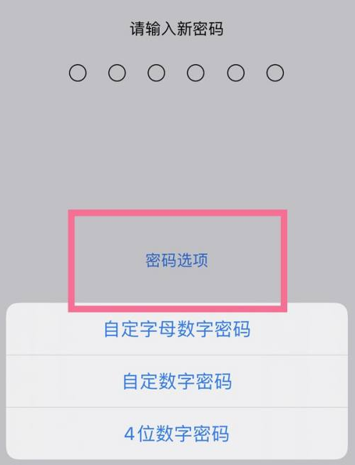 呈贡苹果14维修分享iPhone 14plus设置密码的方法 