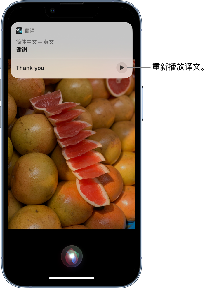 呈贡苹果14维修分享 iPhone 14 机型中使用 Siri：了解 Siri 能帮你做什么 